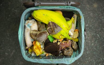 Free E-Learning for May: Composting & Celiac Awareness
