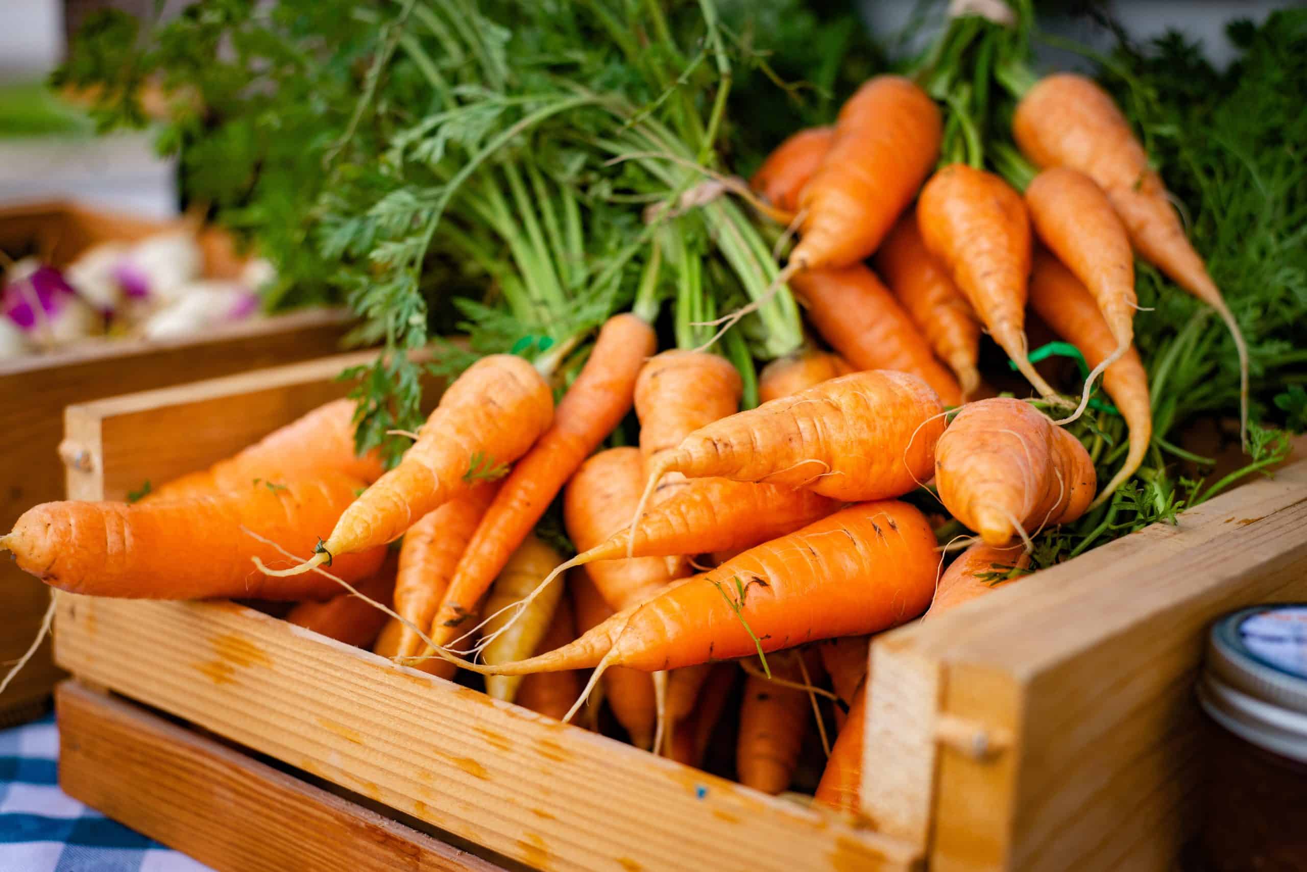 Top Free Resources On How To Stop Food Waste Second Harvest Blog