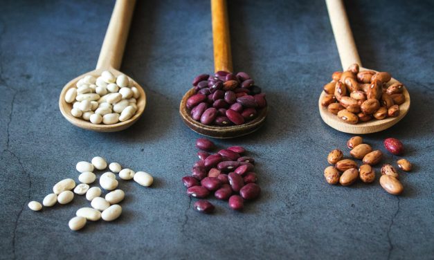 Pulses: the unsung heroes