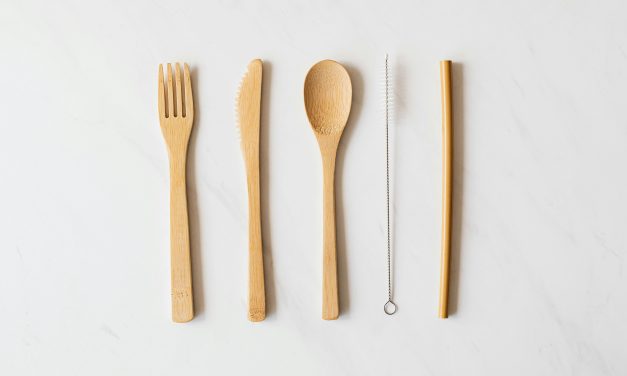 Are we ready for edible utensils?